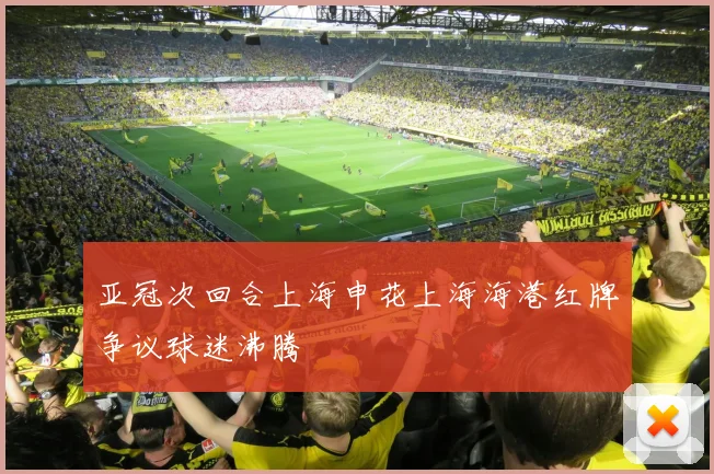 亚冠次回合上海申花上海海港红牌争议球迷沸腾