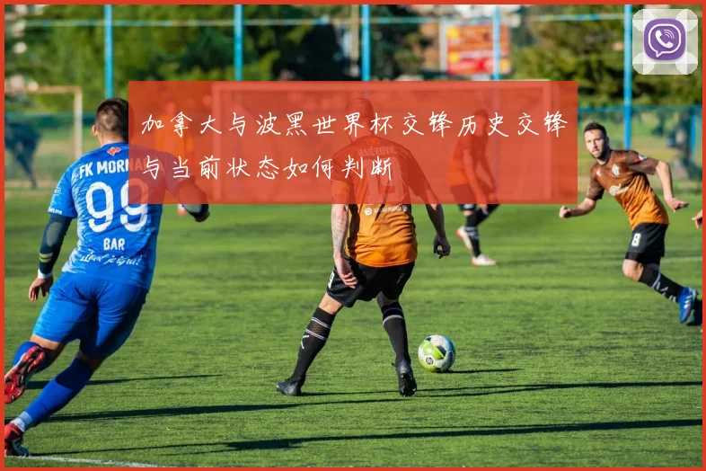 加拿大与波黑世界杯交锋历史交锋与当前状态如何判断