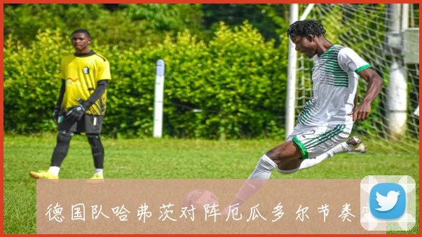 德国队哈弗茨对阵厄瓜多尔节奏变化能否破局看点梳理